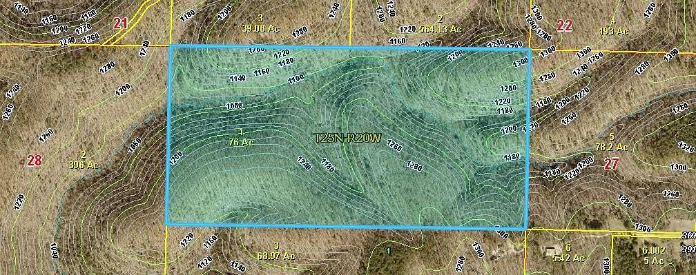 76 Acres of Recreational Land for Sale in Chadwick, Missouri
