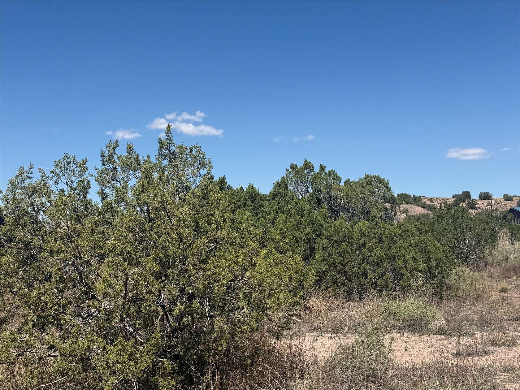 1.29 Acres of Residential Land for Sale in Cerrillos, New Mexico