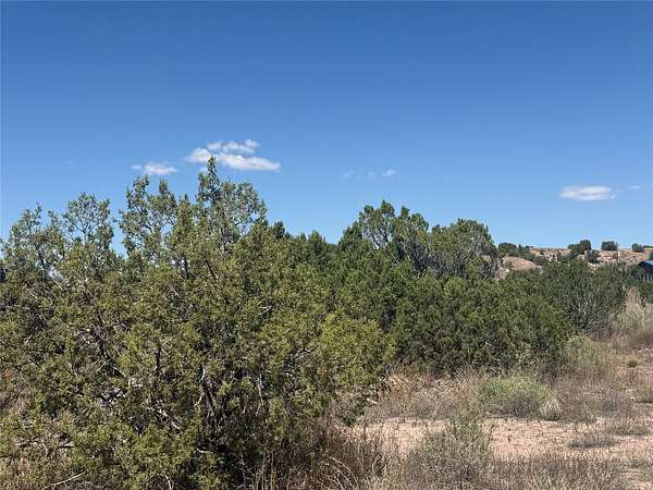 1.29 Acres of Residential Land for Sale in Cerrillos, New Mexico