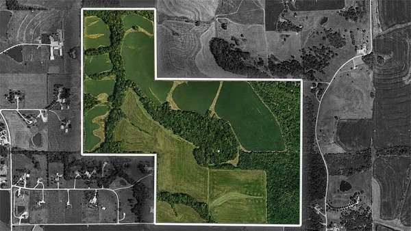 240 Acres of Land for Sale in Odessa, Missouri