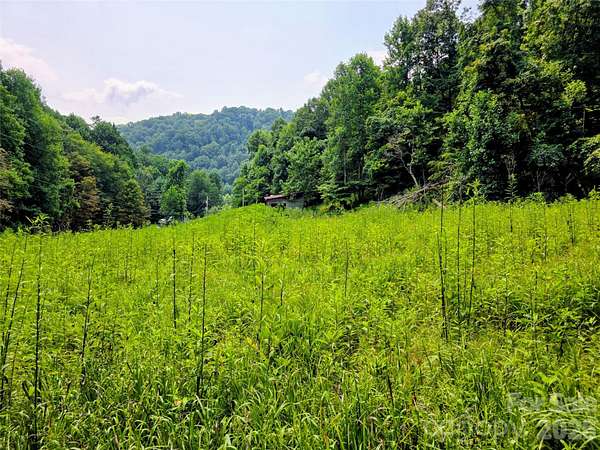 9 Acres of Land with Home for Sale in Burnsville, North Carolina