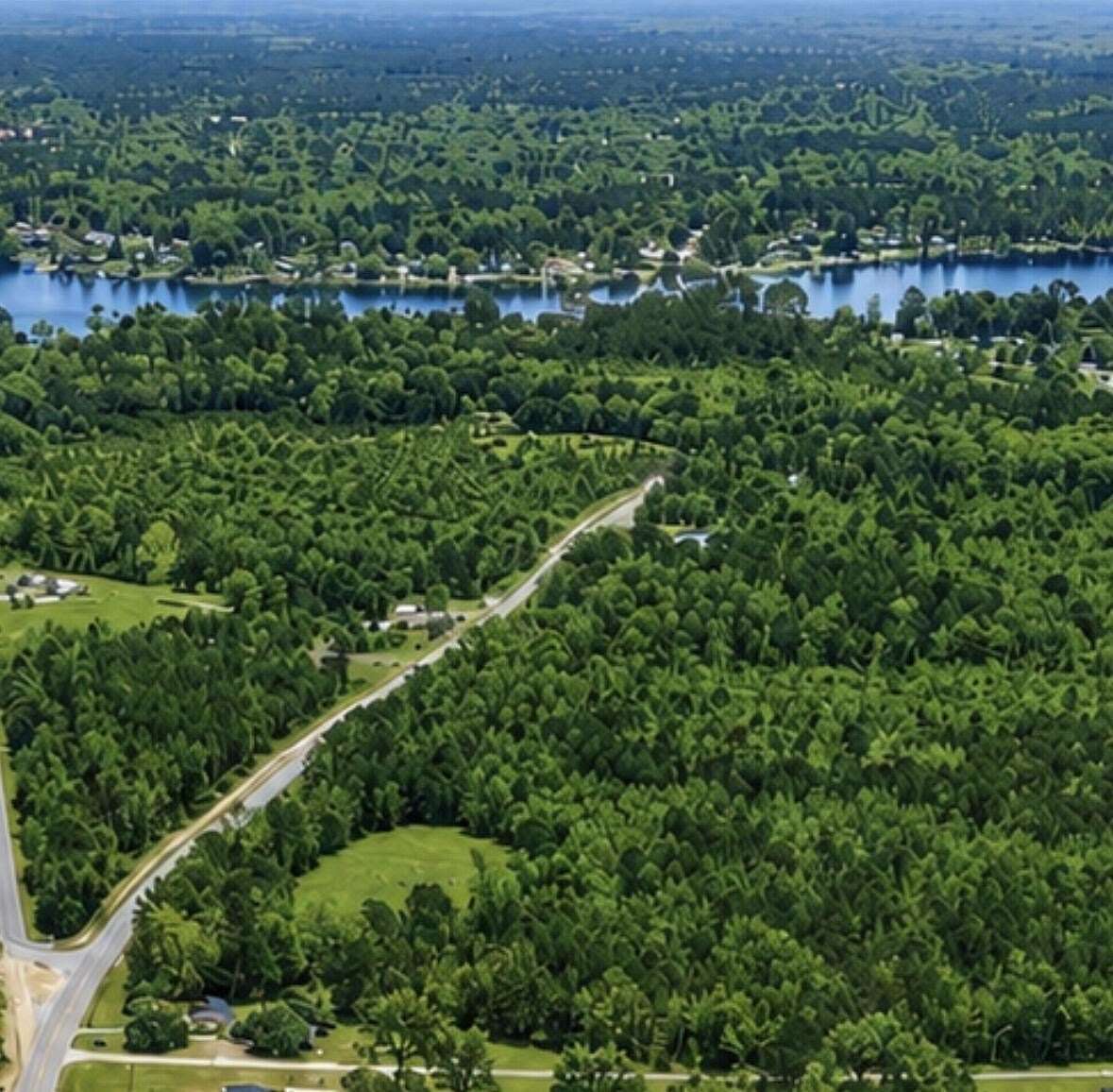 12.7 Acres of Land for Sale in Summerton, South Carolina