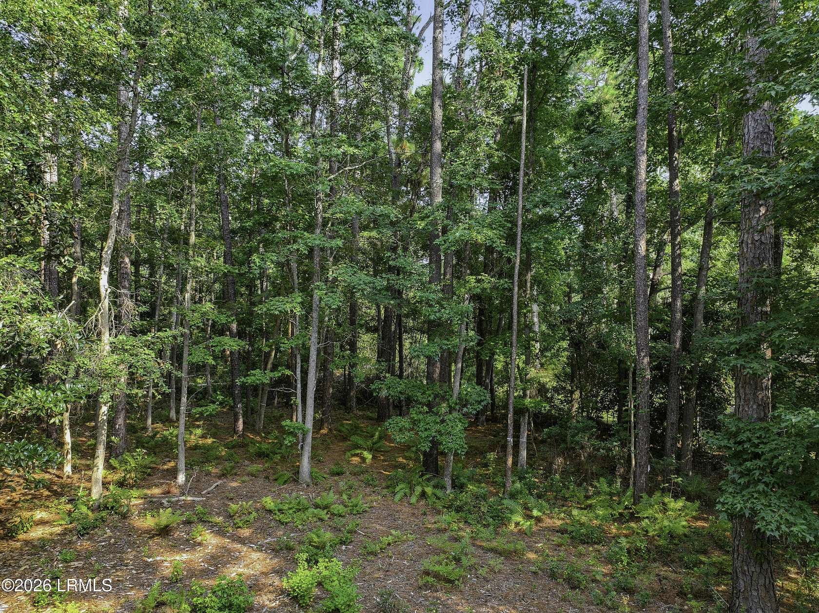 0.5 Acres of Residential Land for Sale in Beaufort, South Carolina