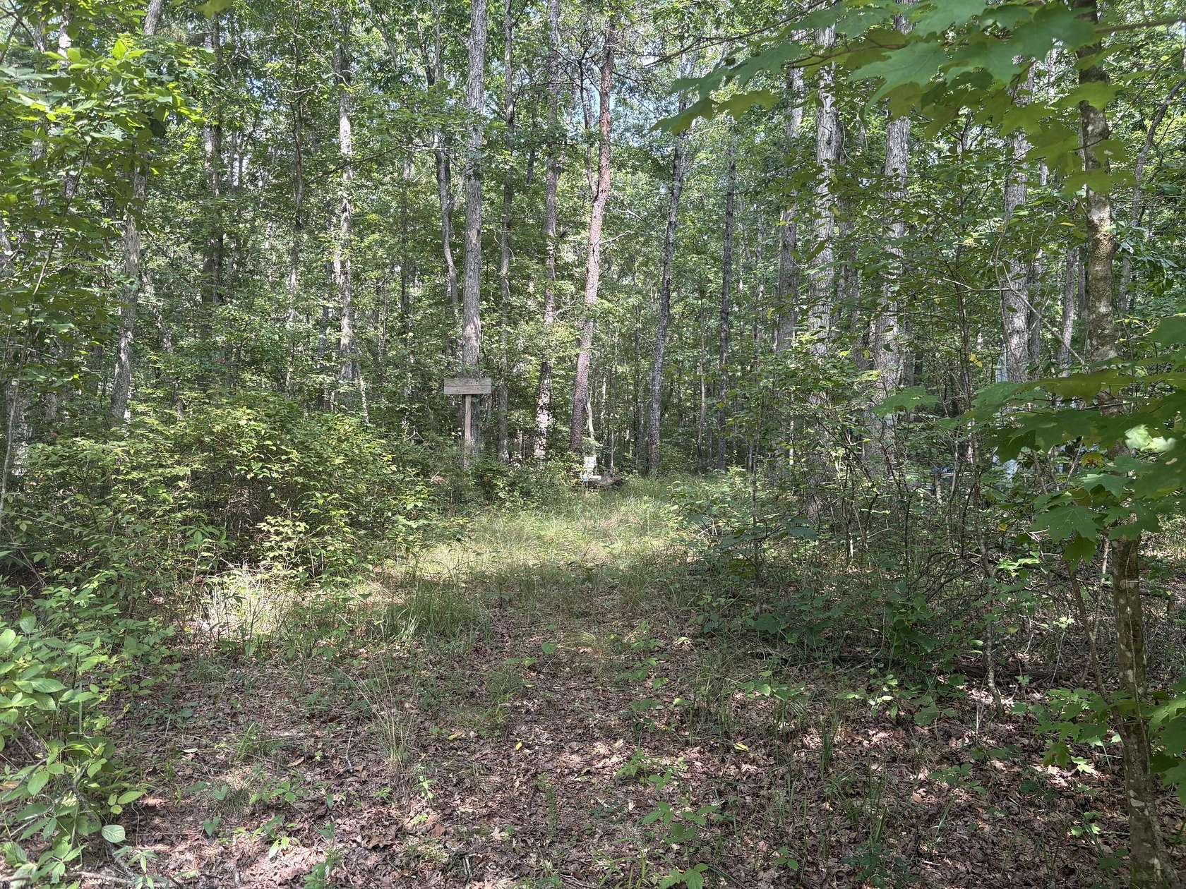 40 Acres of Land for Sale in Menlo, Georgia