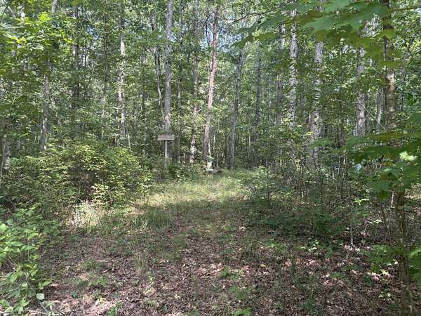 40 Acres of Land for Sale in Menlo, Georgia