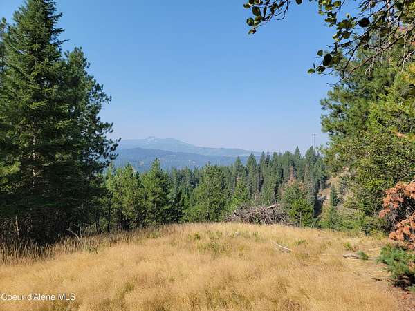 8.19 Acres of Residential Land for Sale in Pinehurst, Idaho