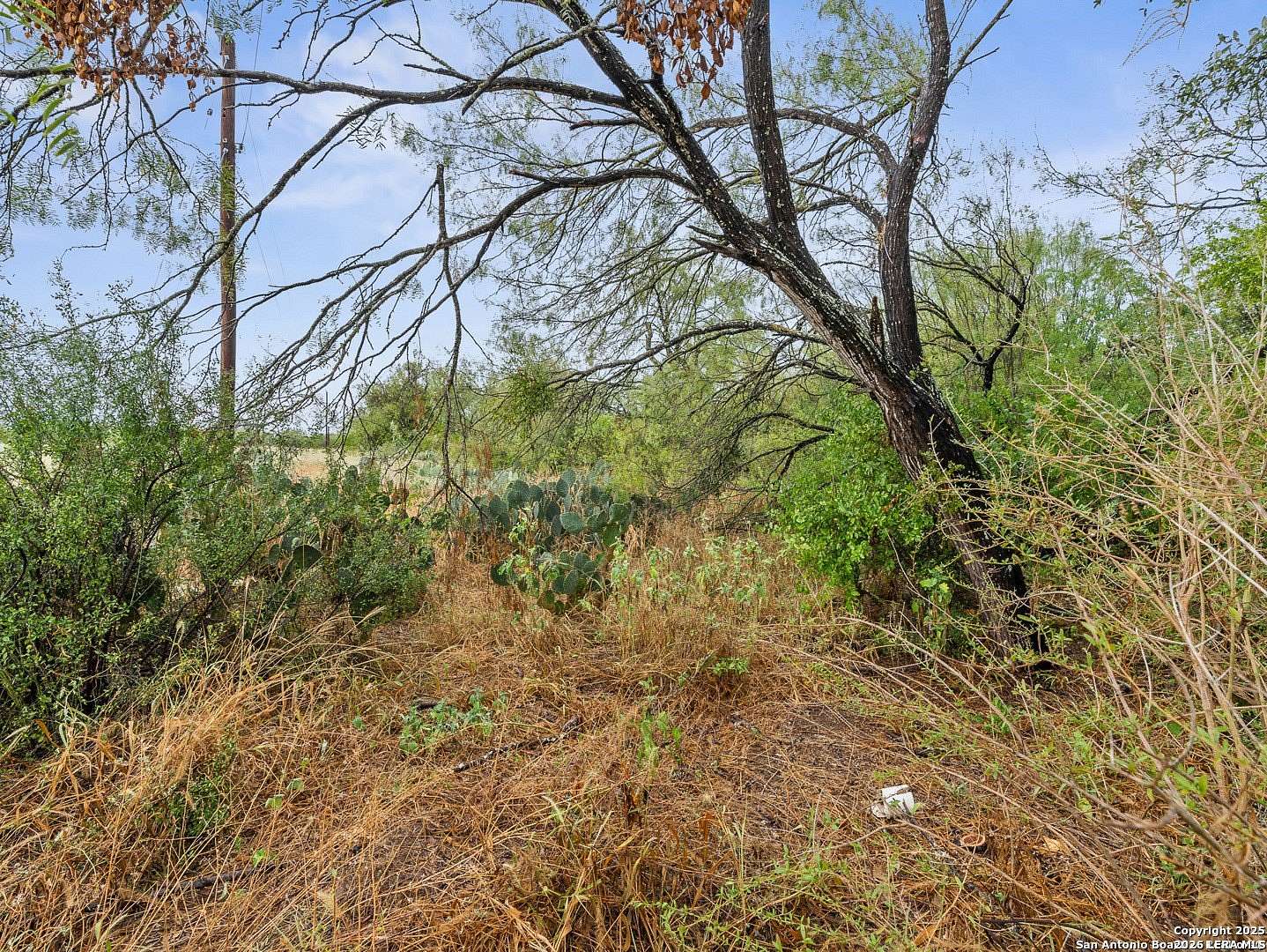 2 Acres of Residential Land for Sale in Von Ormy, Texas