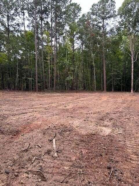 2.44 Acres of Residential Land for Sale in Dalzell, South Carolina