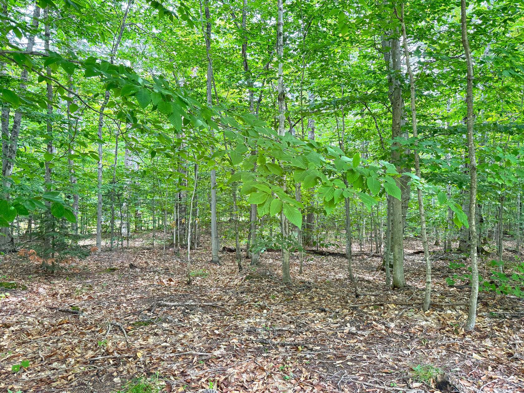 1.52 Acres of Land for Sale in Eckerman, Michigan