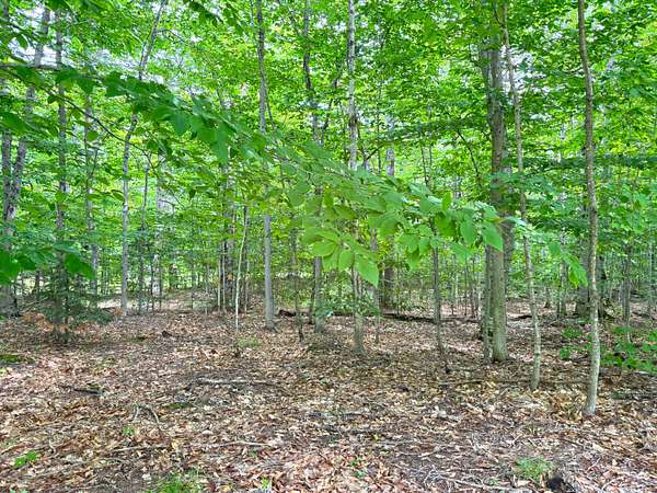 1.52 Acres of Land for Sale in Eckerman, Michigan