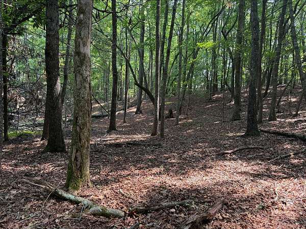 1.1 Acres of Residential Land for Sale in Blairsville, Georgia