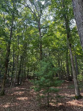 1.1 Acres of Residential Land for Sale in Blairsville, Georgia