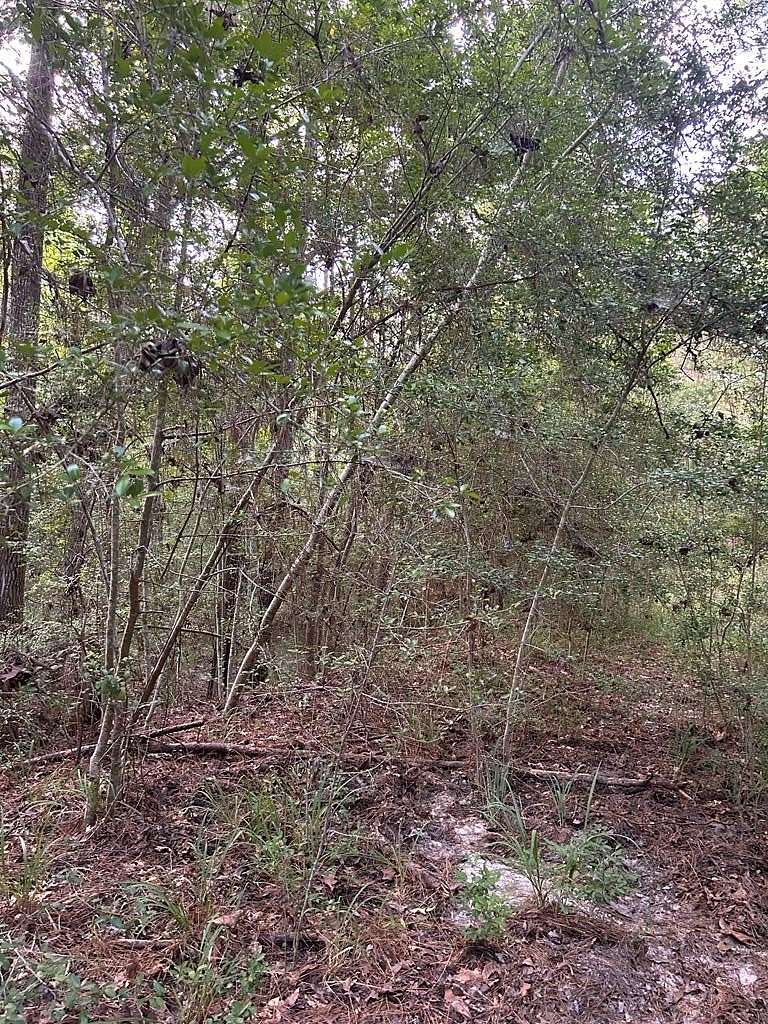 0.39 Acres of Land for Sale in Brookeland, Texas