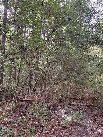 0.39 Acres of Land for Sale in Brookeland, Texas