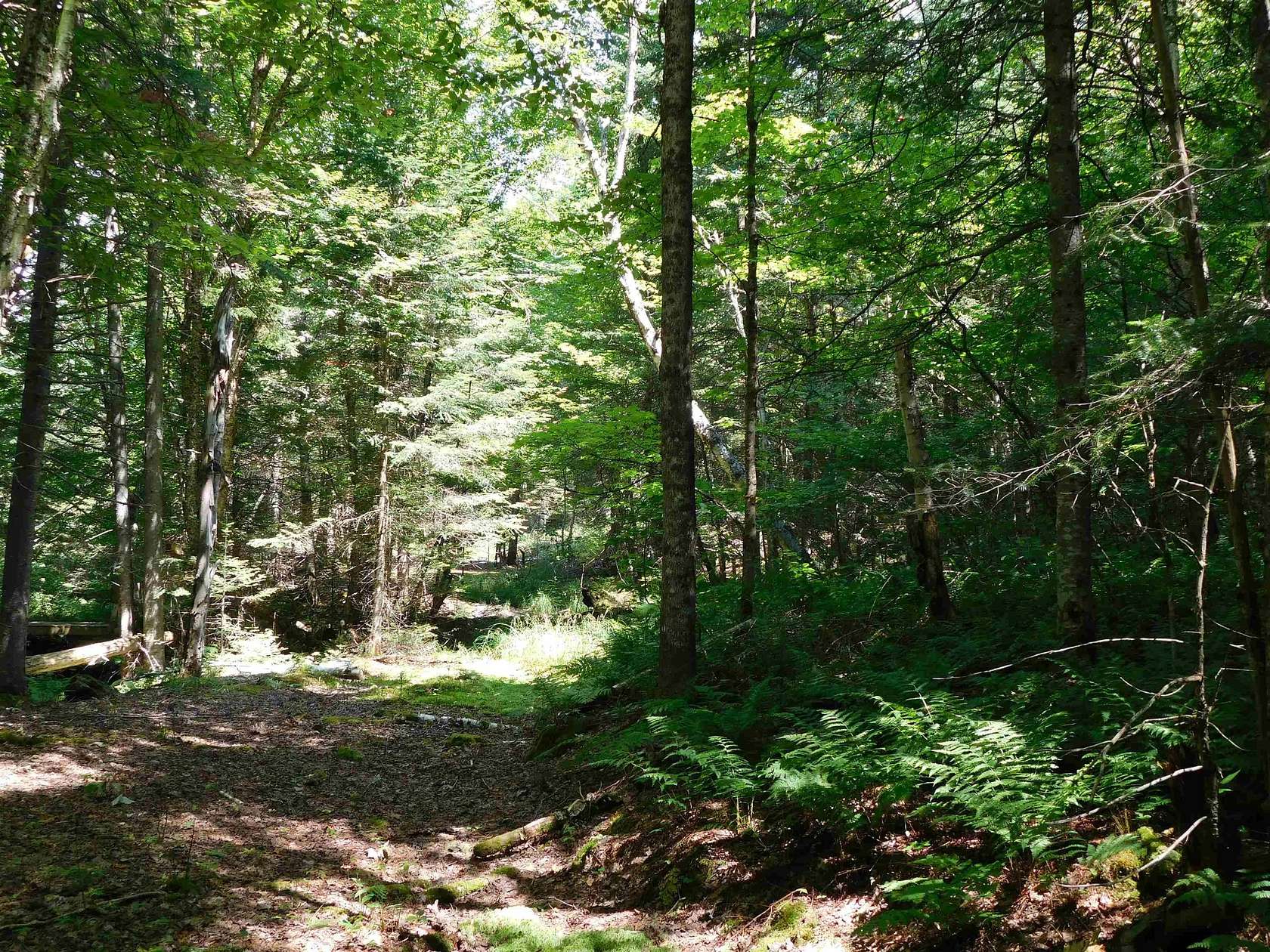 5.37 Acres of Residential Land for Sale in Pittsburg, New Hampshire