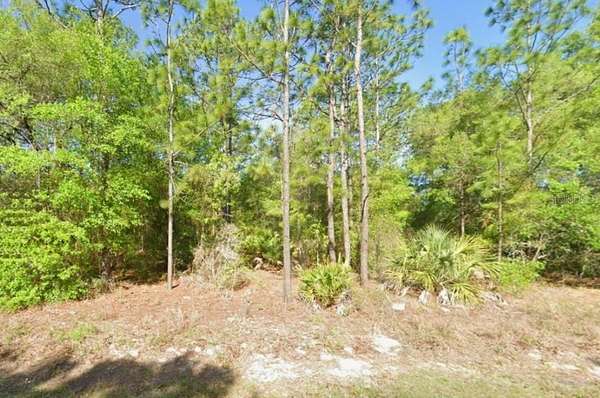 1.16 Acres of Residential Land for Sale in Crystal River, Florida