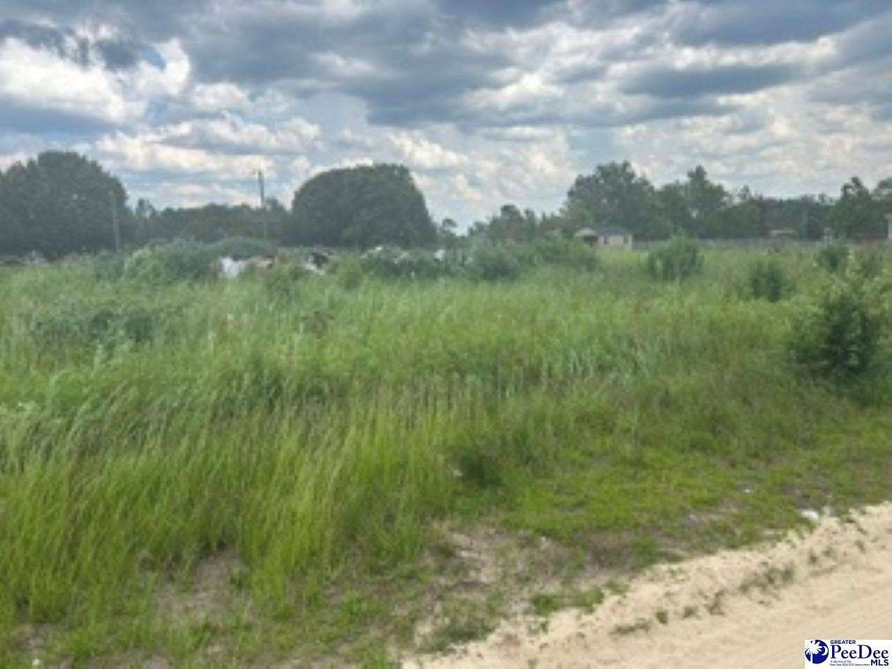 0.81 Acres of Residential Land for Sale in Hamer, South Carolina
