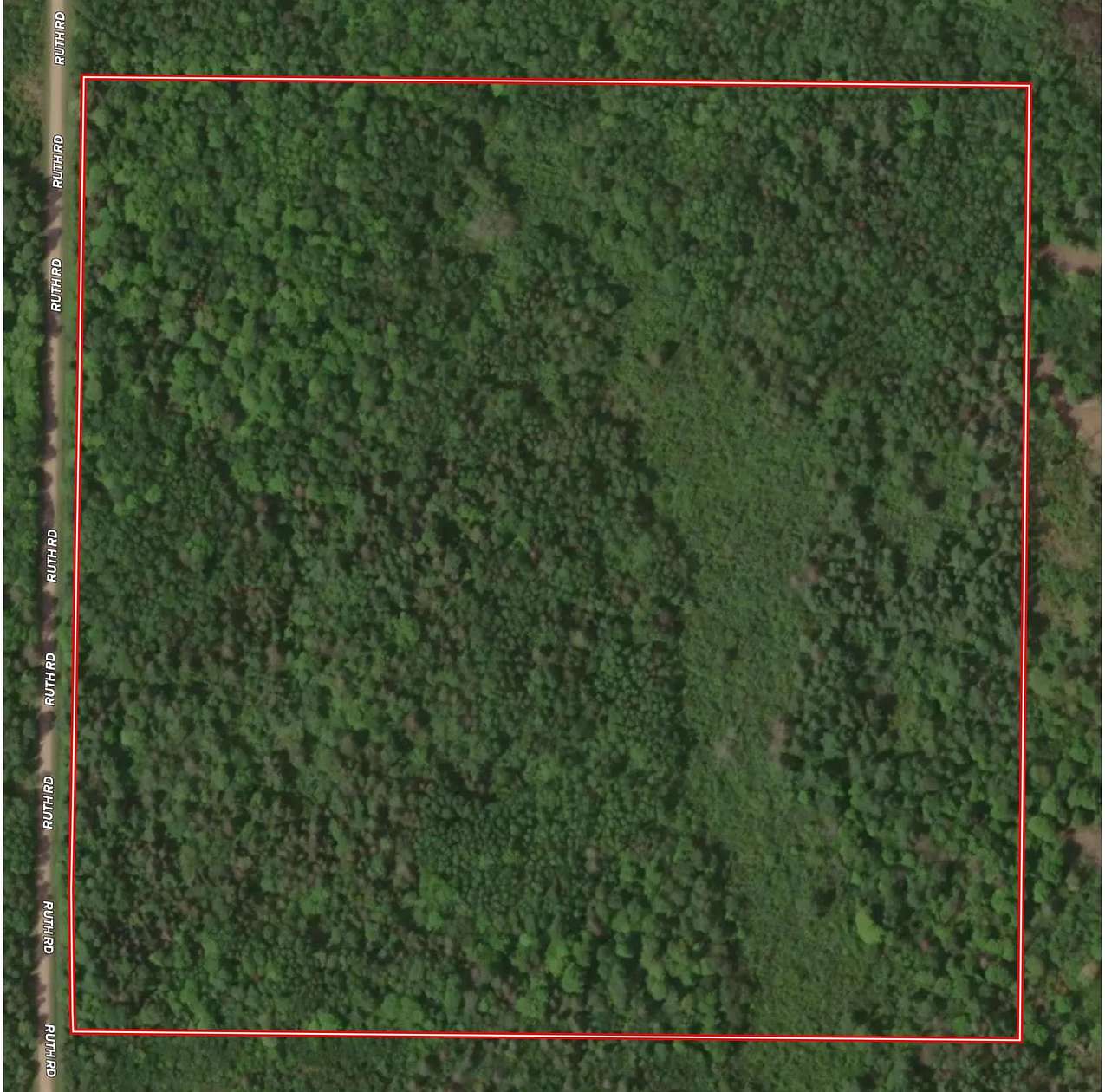 39.8 Acres of Recreational & Residential Land for Sale in Tripoli, Wisconsin
