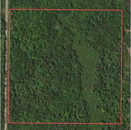39.8 Acres of Recreational & Residential Land for Sale in Tripoli, Wisconsin