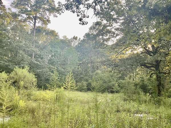 2.15 Acres of Residential Land for Sale in Huntington, Texas