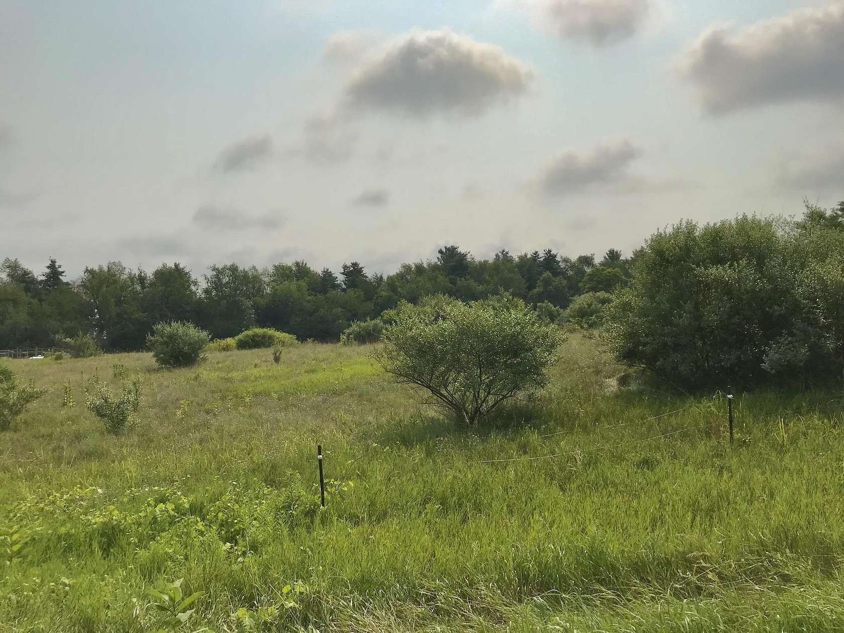 1 Acre of Land for Sale in Three Rivers, Michigan