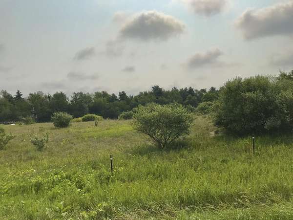 1 Acre of Land for Sale in Three Rivers, Michigan