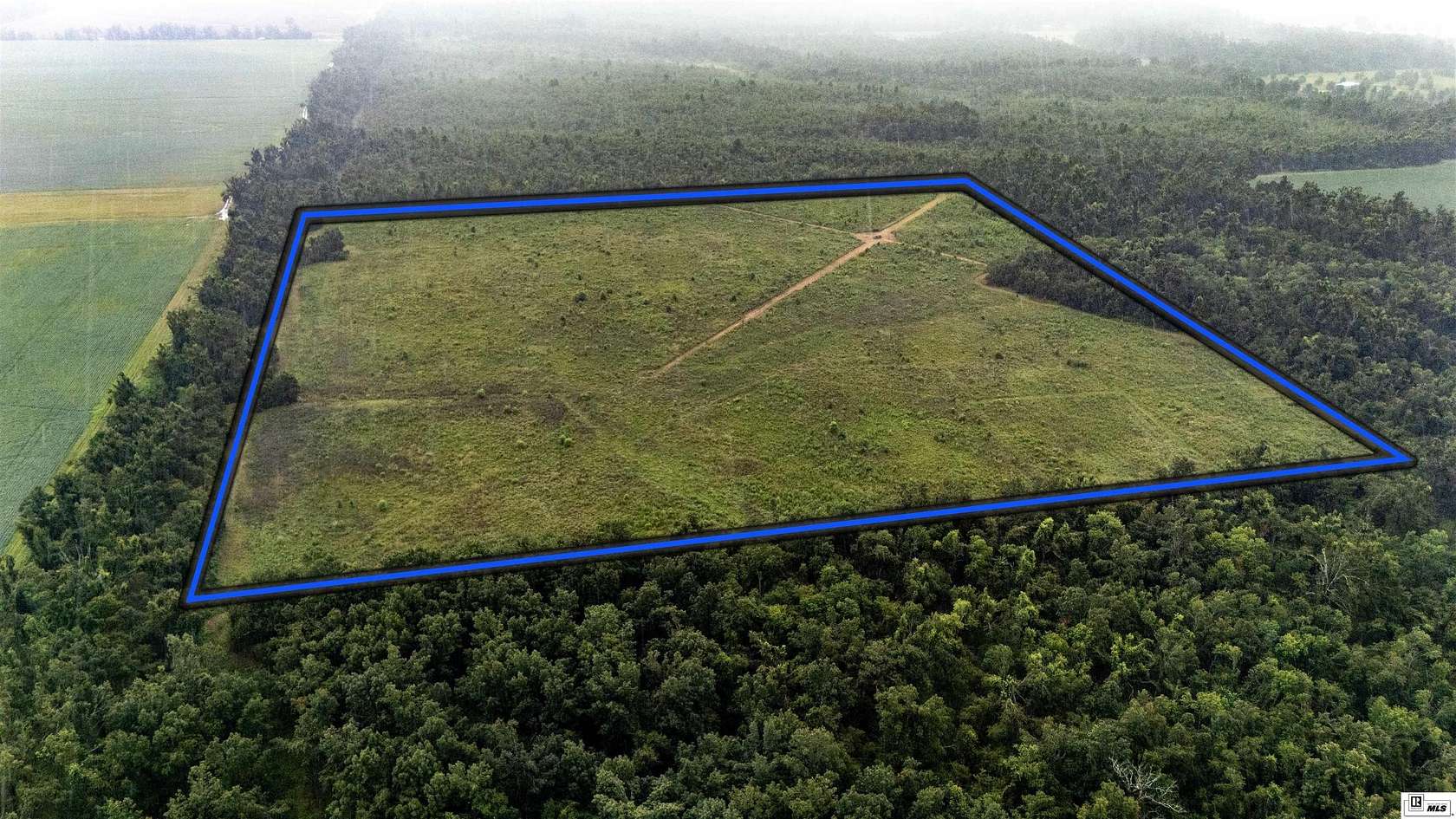 40 Acres of Land for Sale in Rayville, Louisiana
