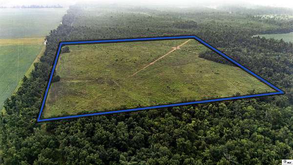 40 Acres of Land for Sale in Rayville, Louisiana
