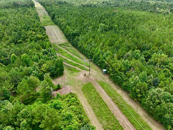 63 Acres of Land for Sale in Letohatchee, Alabama