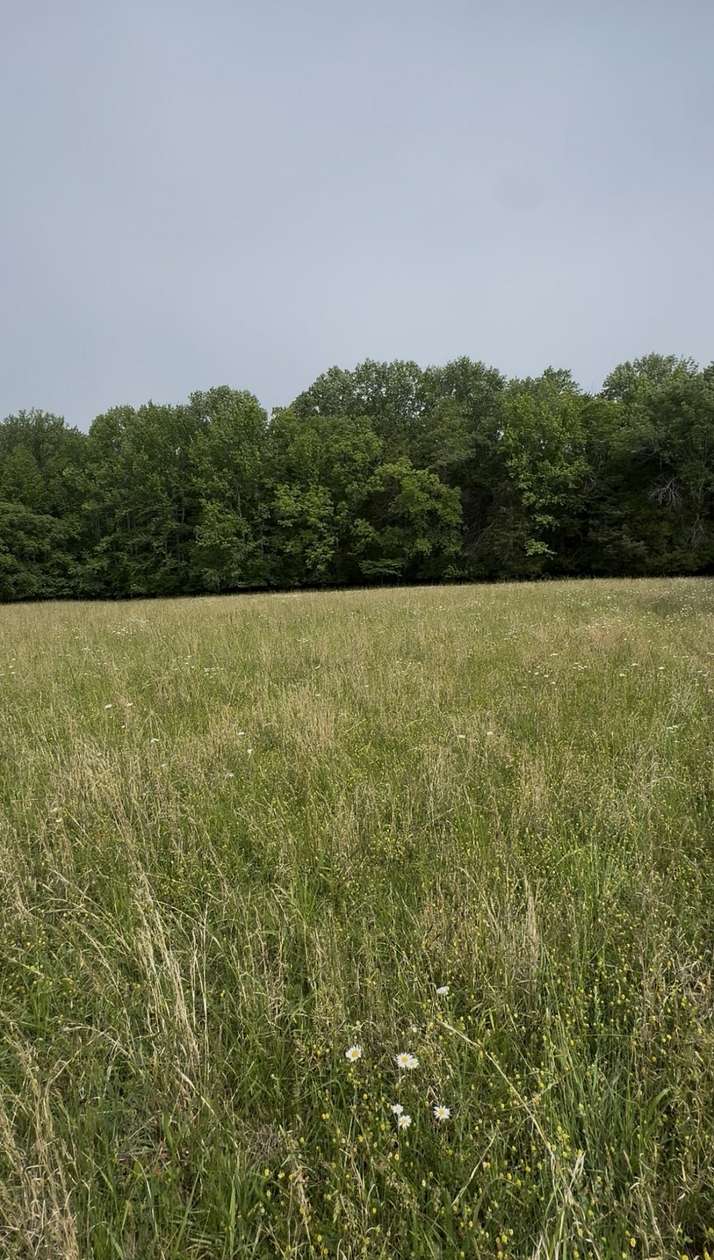 5.5 Acres of Residential Land for Sale in Mount Juliet, Tennessee