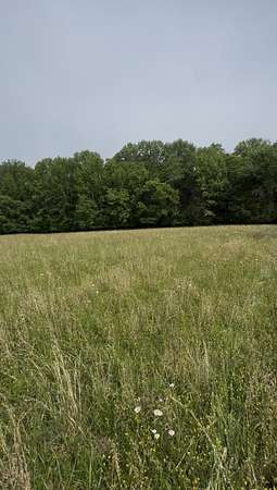 5.5 Acres of Residential Land for Sale in Mount Juliet, Tennessee