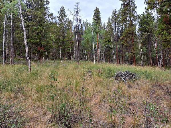 5.2 Acres of Residential Land for Sale in Fairplay, Colorado