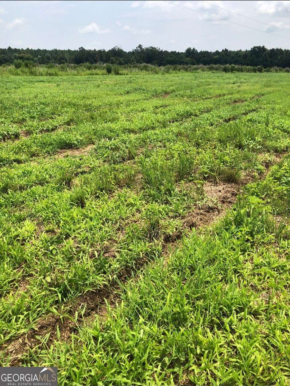 6 Acres of Residential Land for Sale in Uvalda, Georgia