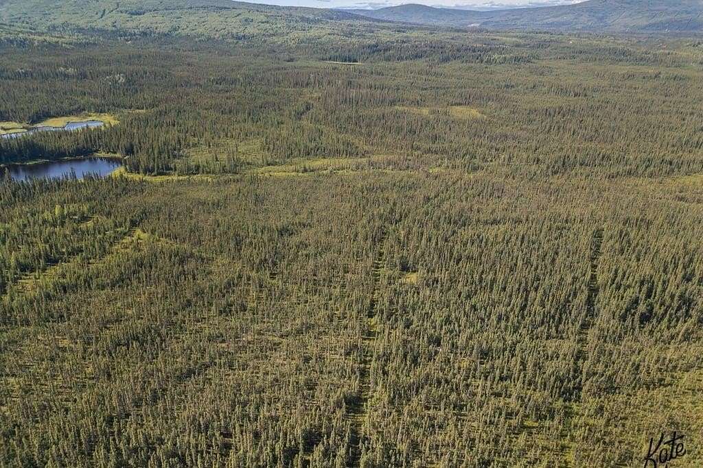 51.9 Acres of Land for Sale in Ester, Alaska