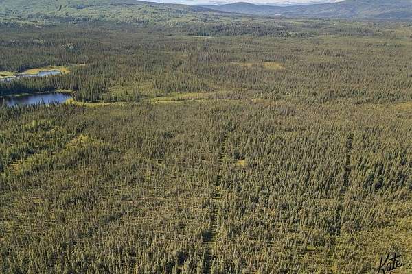51.9 Acres of Land for Sale in Ester, Alaska