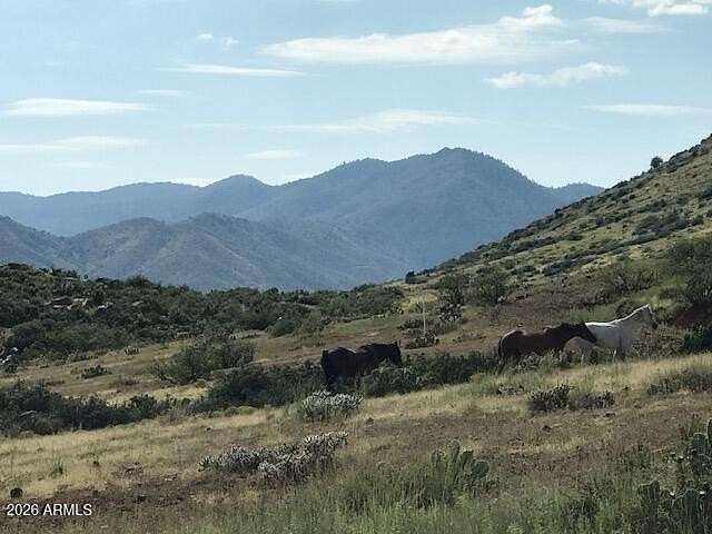 36.1 Acres of Recreational Land for Sale in Mayer, Arizona