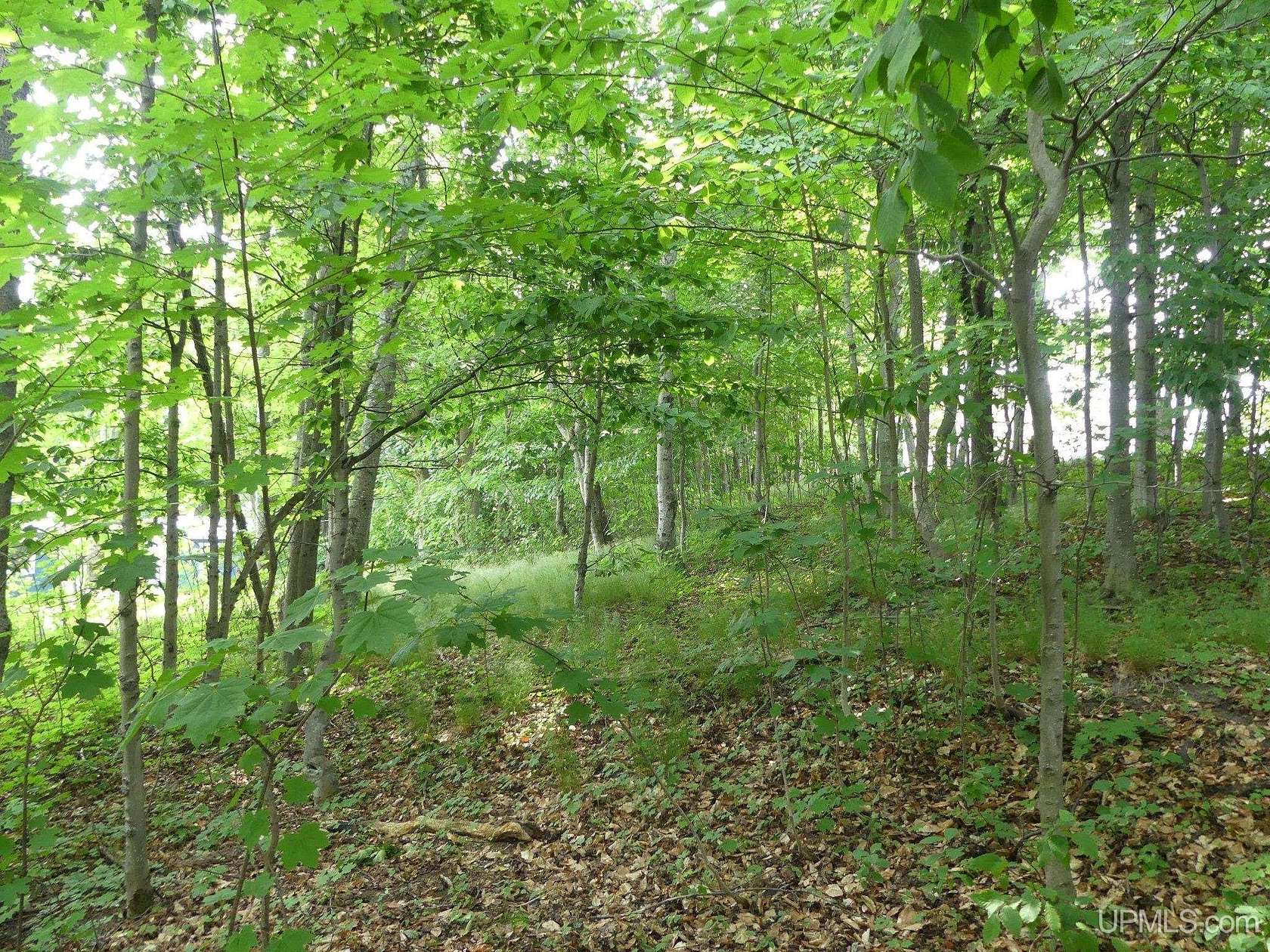0.09 Acres of Residential Land for Sale in Grand Marais, Michigan