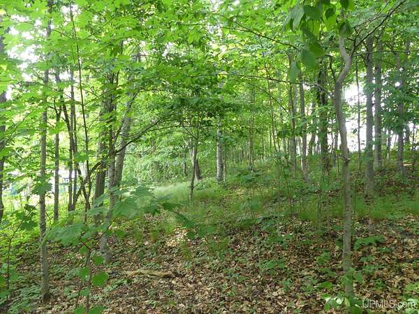 0.09 Acres of Residential Land for Sale in Grand Marais, Michigan