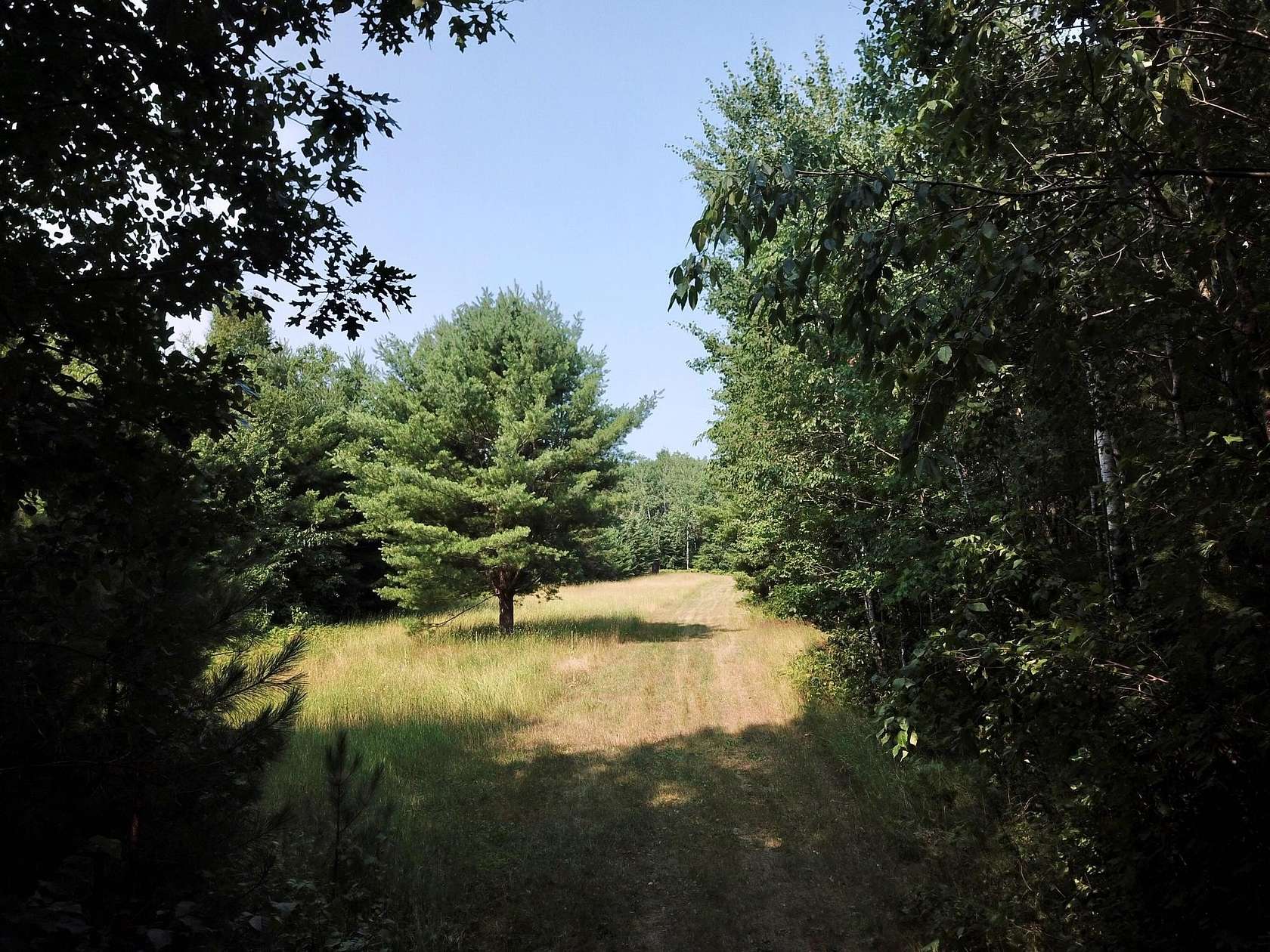 56.2 Acres of Recreational & Residential Land for Sale in Harshaw, Wisconsin
