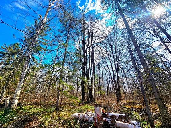 Residential Land for Sale in Elmira, Michigan