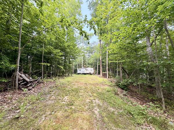 0.5 Acres of Residential Land for Sale in McMillan, Michigan