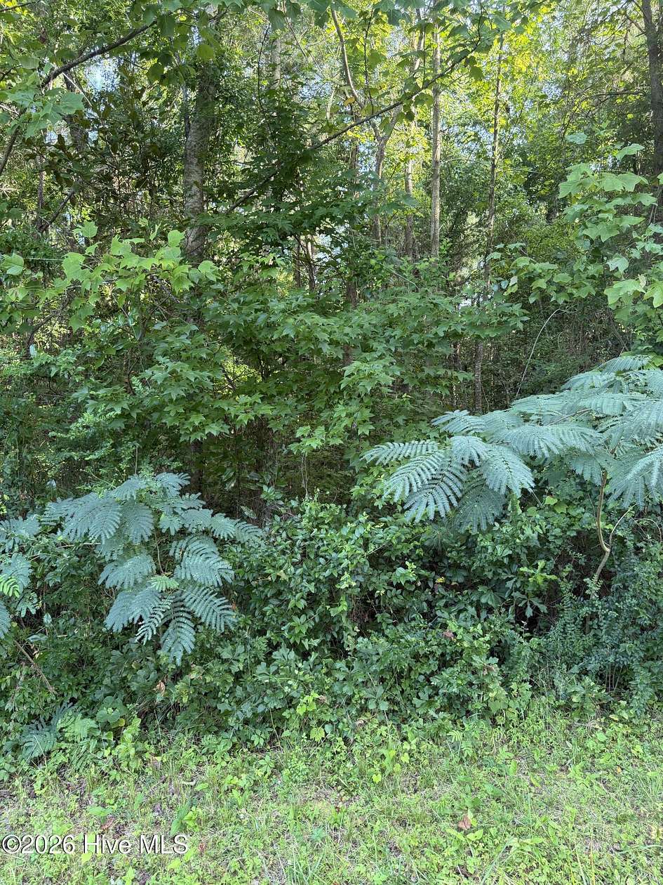 1 Acre of Residential Land for Sale in New Bern, North Carolina