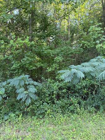 1 Acre of Residential Land for Sale in New Bern, North Carolina