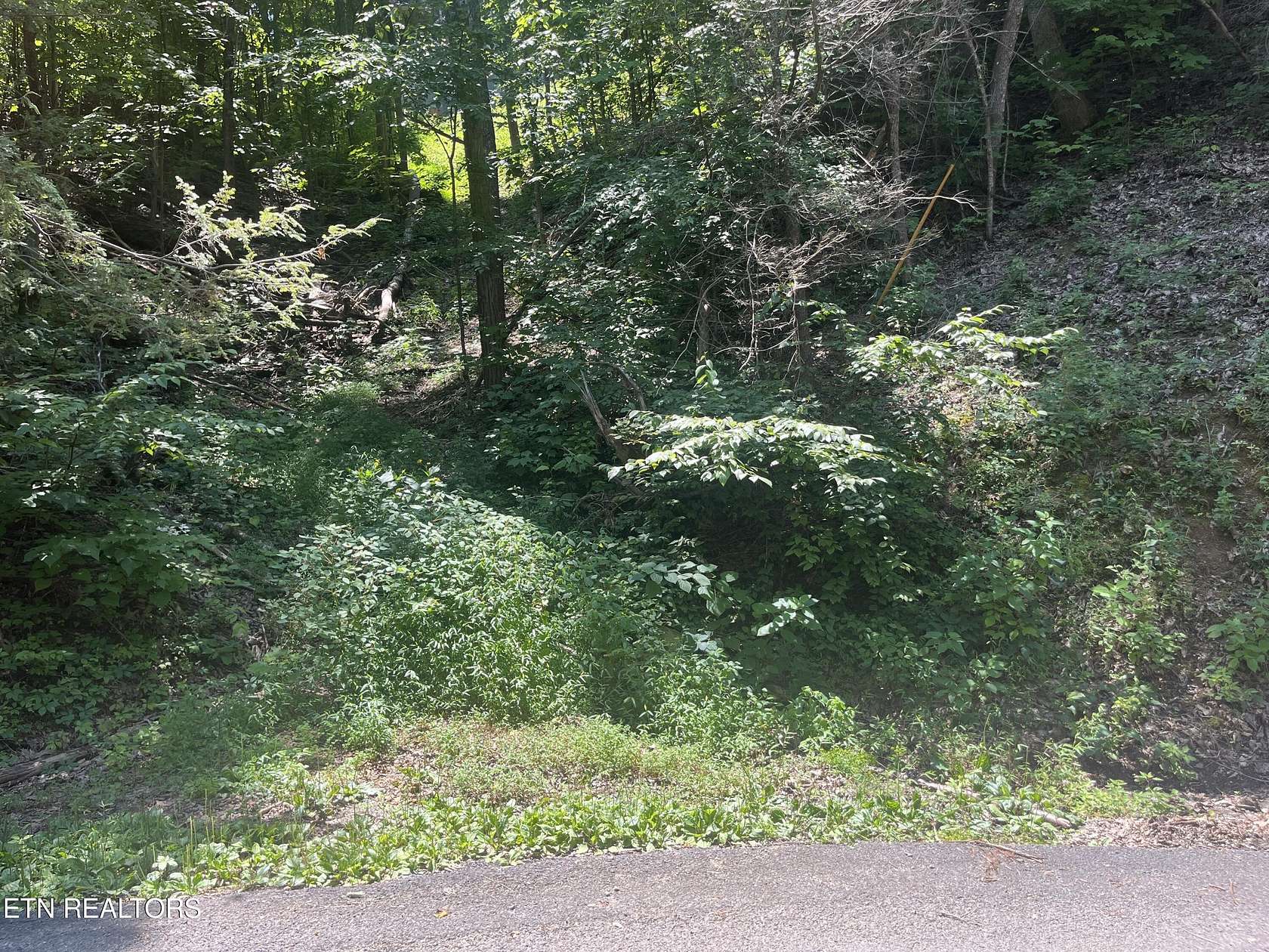 0.23 Acres of Residential Land for Sale in Sevierville, Tennessee