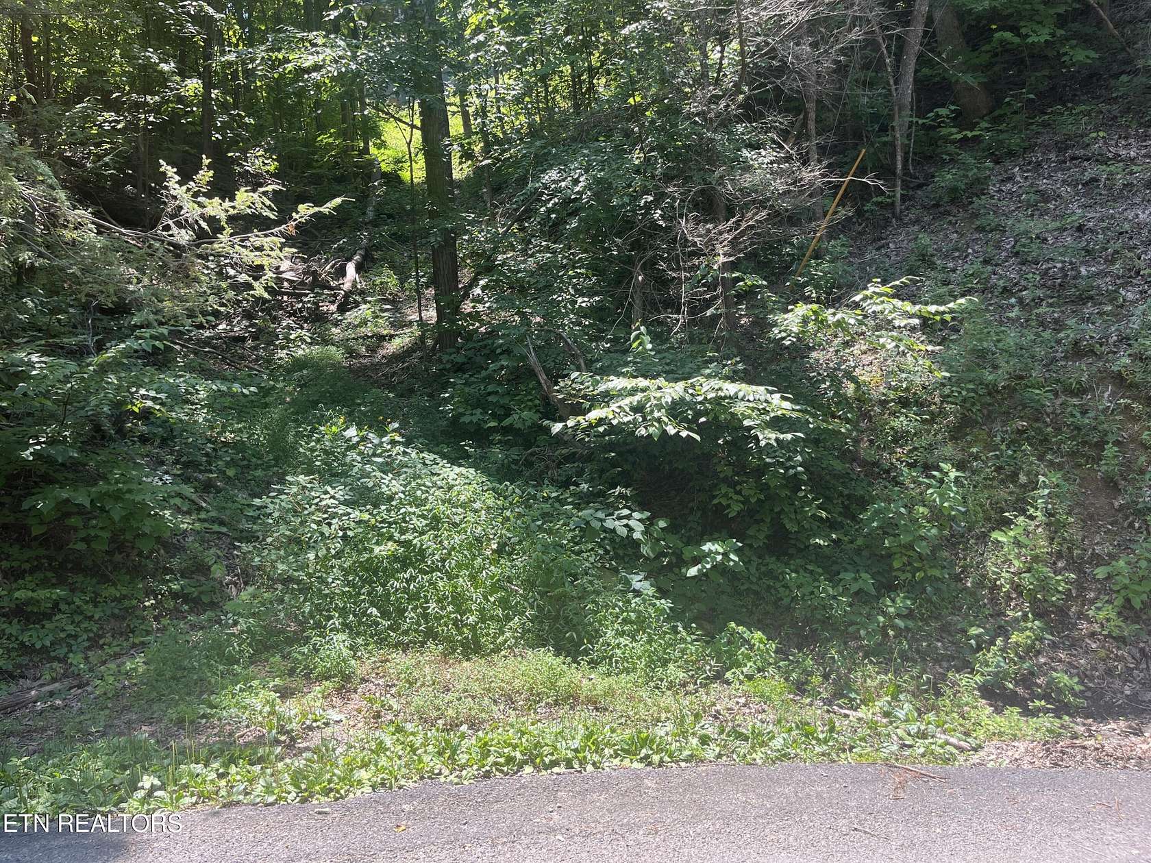 0.23 Acres of Residential Land for Sale in Sevierville, Tennessee