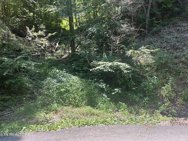 0.23 Acres of Residential Land for Sale in Sevierville, Tennessee