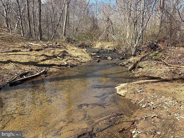 200 Acres of Recreational Land for Sale in Linden, Virginia
