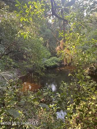 92.5 Acres of Recreational Land for Sale in Perkinston, Mississippi