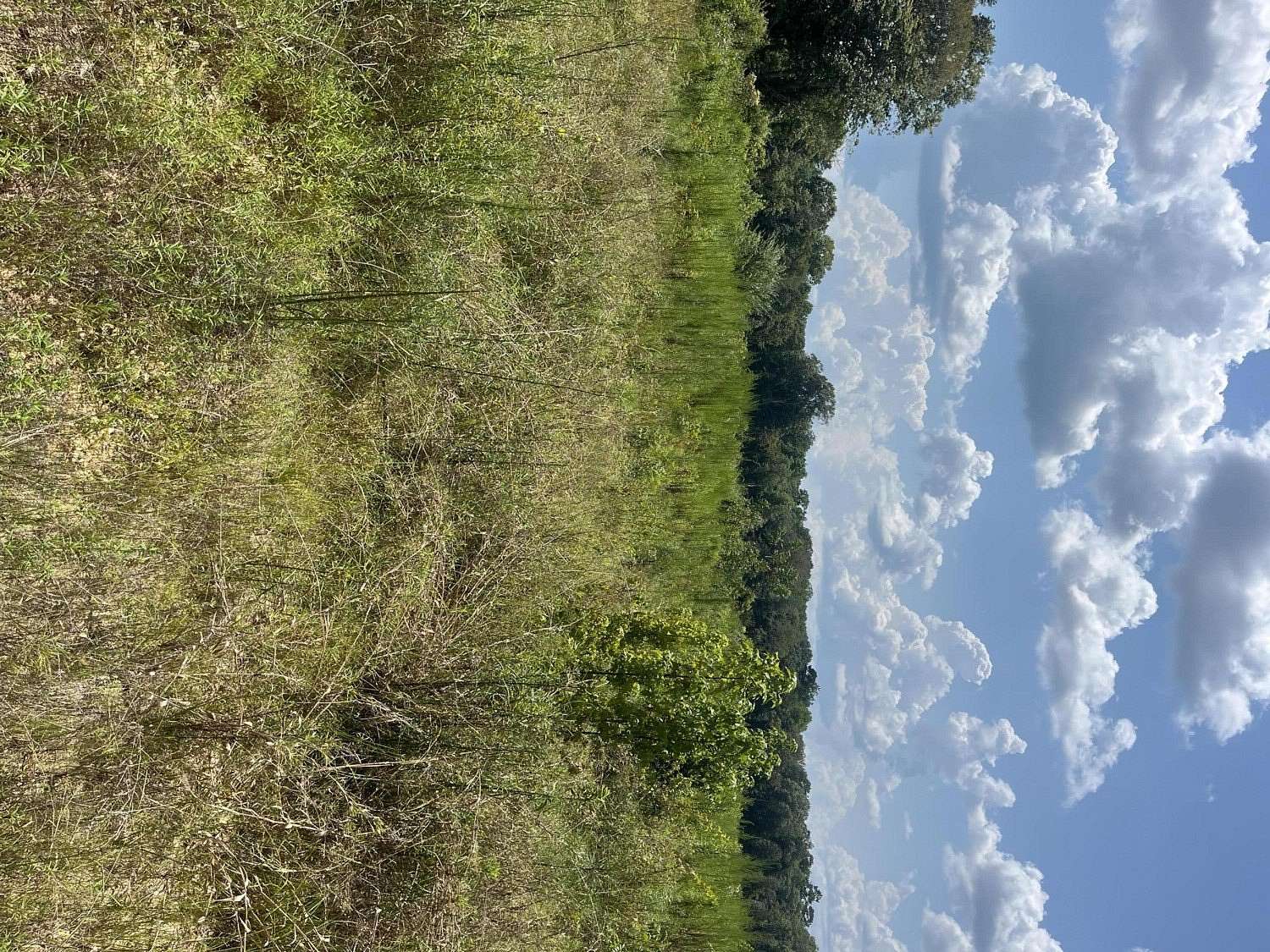 40 Acres of Recreational Land for Sale in Oak Vale, Mississippi