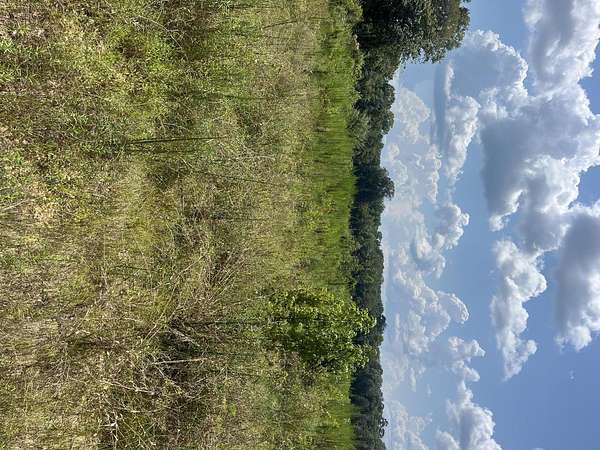 40 Acres of Recreational Land for Sale in Oak Vale, Mississippi